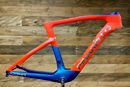 Immagine di PINARELLO Telaio Dogma F MyWay 2025 + Talon 90x44