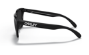 Picture of OAKLEY occhiali FROGSKINS™ CHECKBOX COLLECTION
