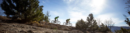 Picture for category Mountain Bike