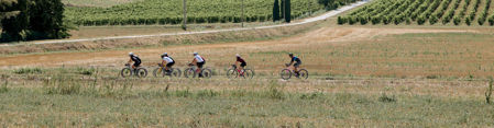 Picture for category Promo Strade Bianche 2024