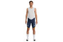 Picture of SPECIALIZED Pantaloncini Salopette Replica Red Bull Bora Hansgrohe