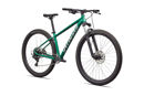 Immagine di SPECIALIZED Rockhopper Sport Gloss Pine Green
